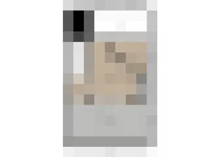 Watermolen 13 De Lier thumbnail 40