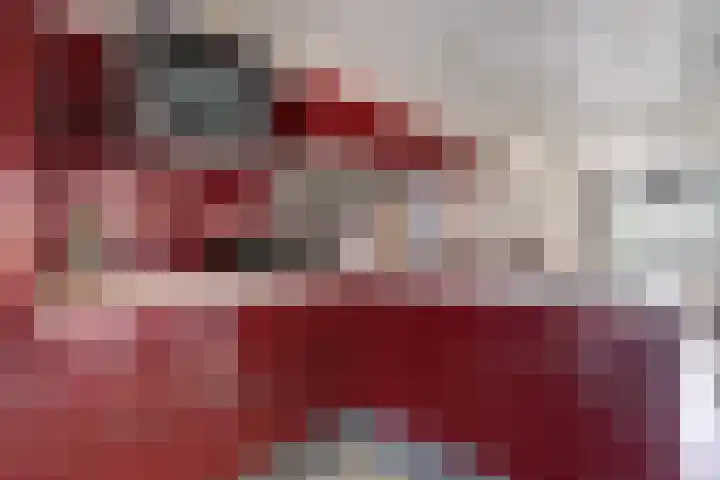Watermolen 13 De Lier thumbnail 5
