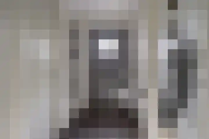 Watermolen 13 De Lier thumbnail 7