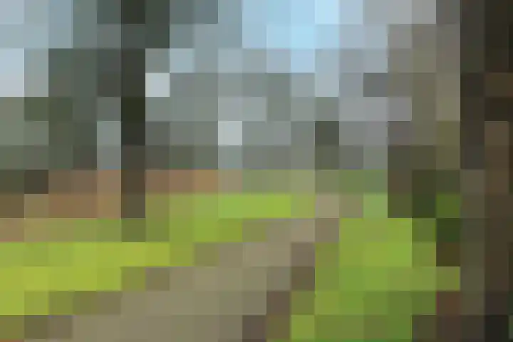 Watermolen 132 Ridderkerk thumbnail 5