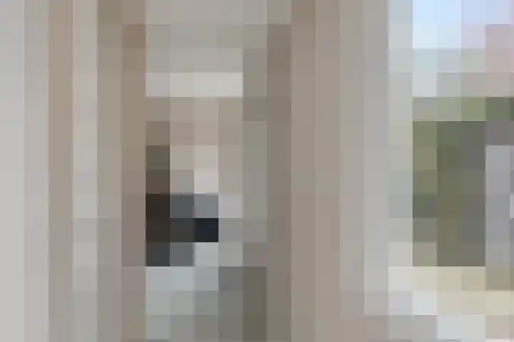 Watermolen 16 Houten thumbnail 11