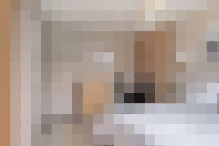 Watermolen 16 Houten thumbnail 18