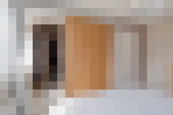 Watermolen 16 Houten thumbnail 19
