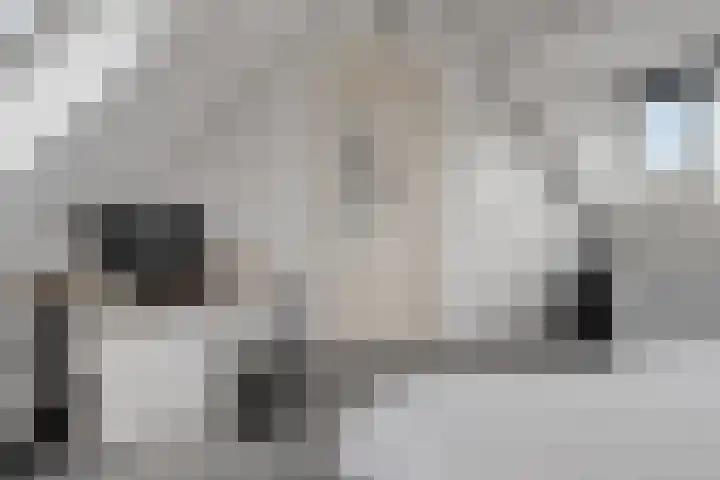Watermolen 16 Houten thumbnail 27