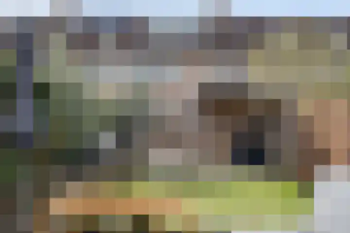 Watermolen 16 Houten thumbnail 32
