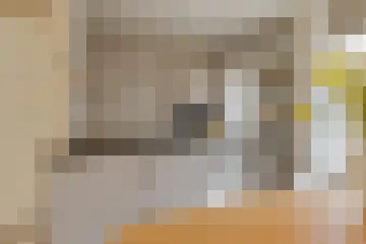 Watermolen 16 Houten thumbnail 6