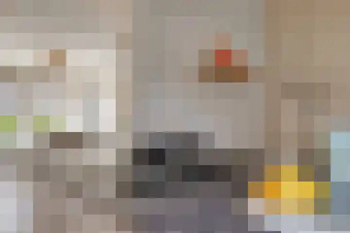Watermolen 16 Houten thumbnail 8