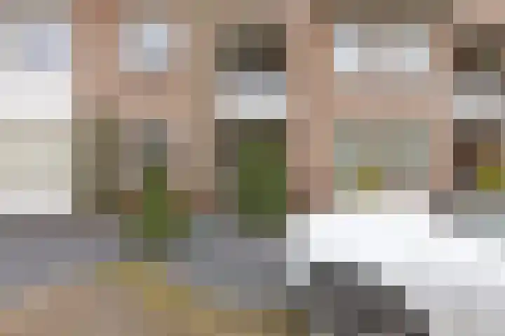 Watermolen 47 Gemert thumbnail 10