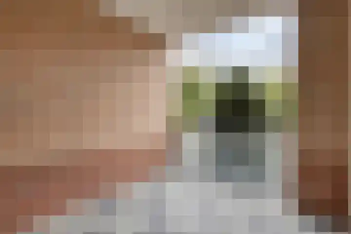 Watermolen 47 Gemert thumbnail 26