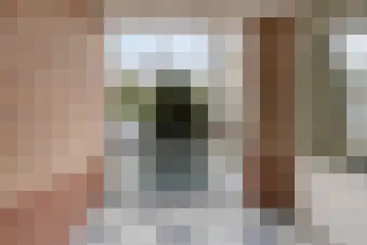 Watermolen 47 Gemert thumbnail 28