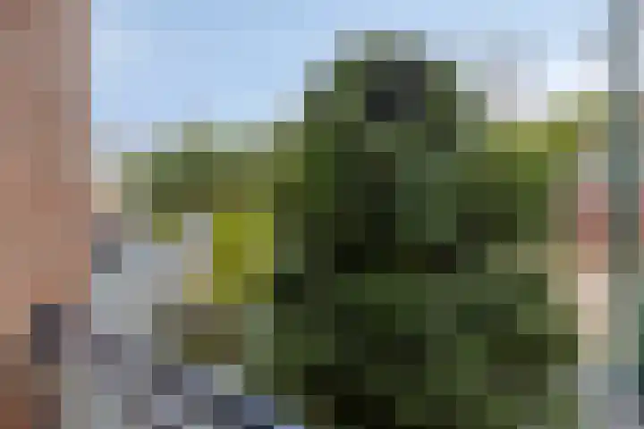 Watermolen 47 Gemert thumbnail 29