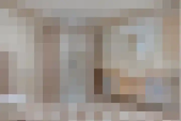 Watermolen 47 Gemert thumbnail 4