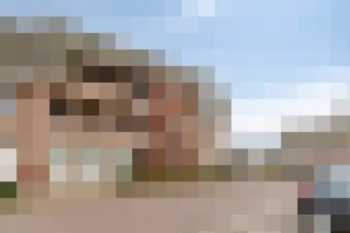 Watermolen 47 Gemert thumbnail 7
