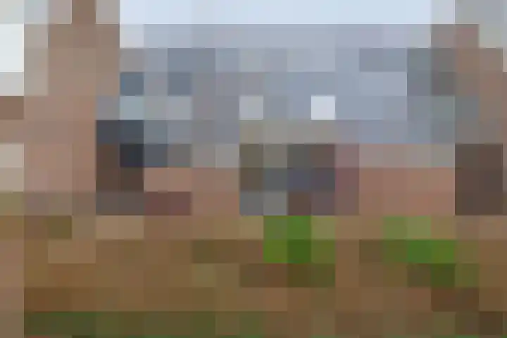 Watermolen 48 Ridderkerk thumbnail 42