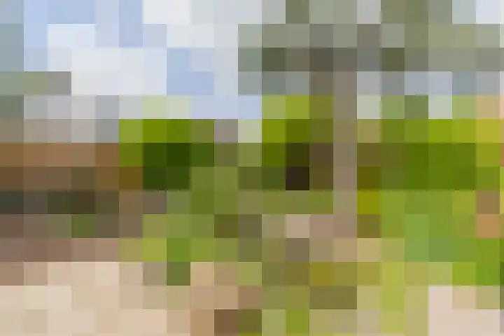 Watermolen 96 Ridderkerk thumbnail 34