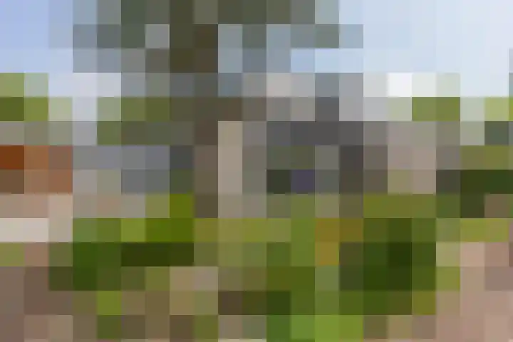 Watermolen 96 Ridderkerk thumbnail 4