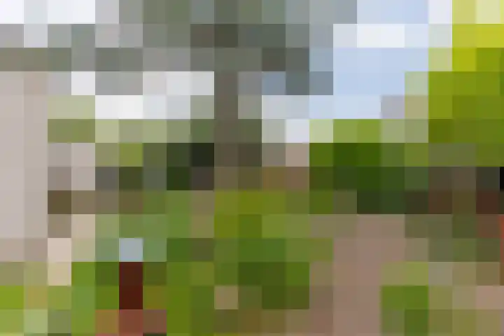 Watermolen 96 Ridderkerk thumbnail 42