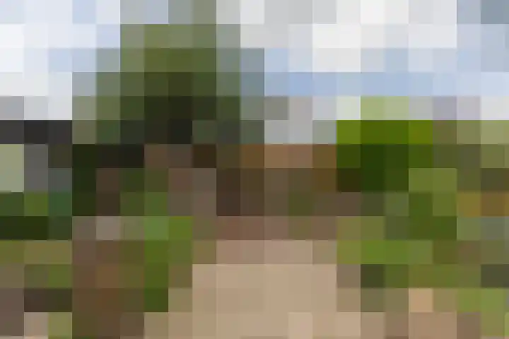 Watermolen 96 Ridderkerk thumbnail 43