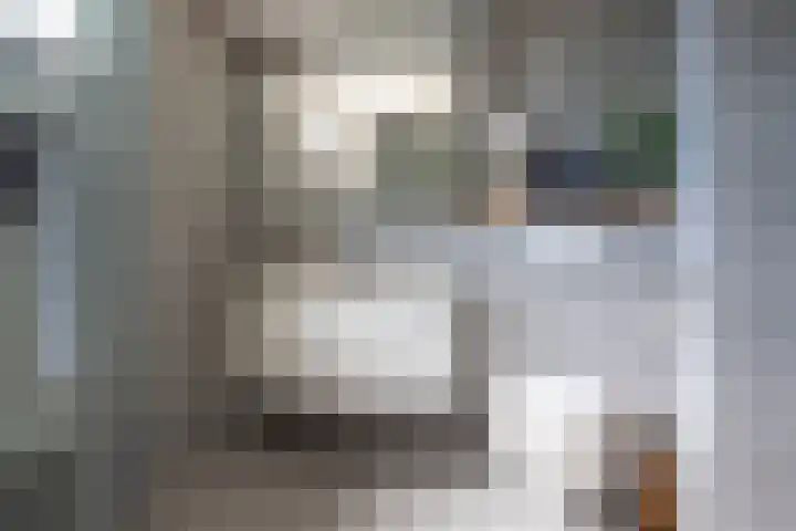 Watermolenstraat 11 Grevenbicht thumbnail 18