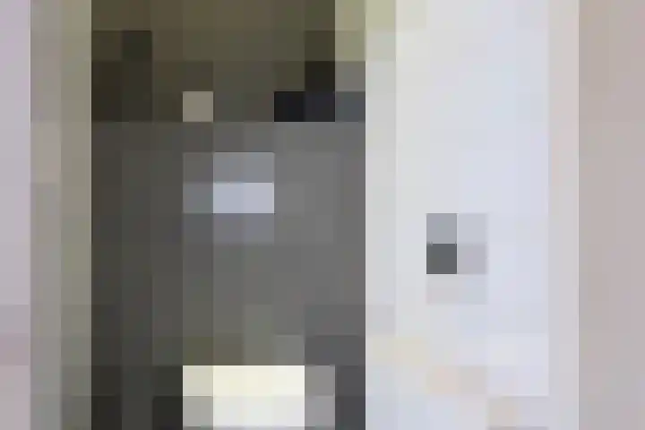 Watermolenstraat 11 Grevenbicht thumbnail 22