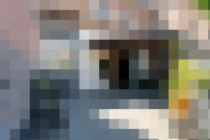 Watermolenstraat 11 Grevenbicht thumbnail 25
