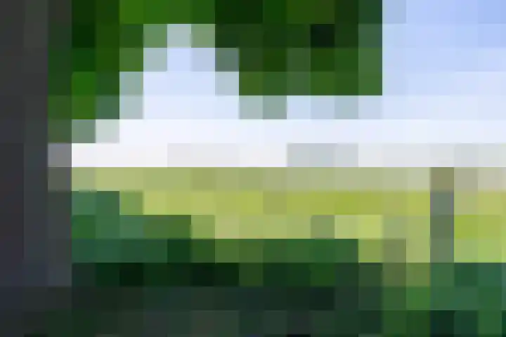 Watermolenstraat 11 Grevenbicht thumbnail 4