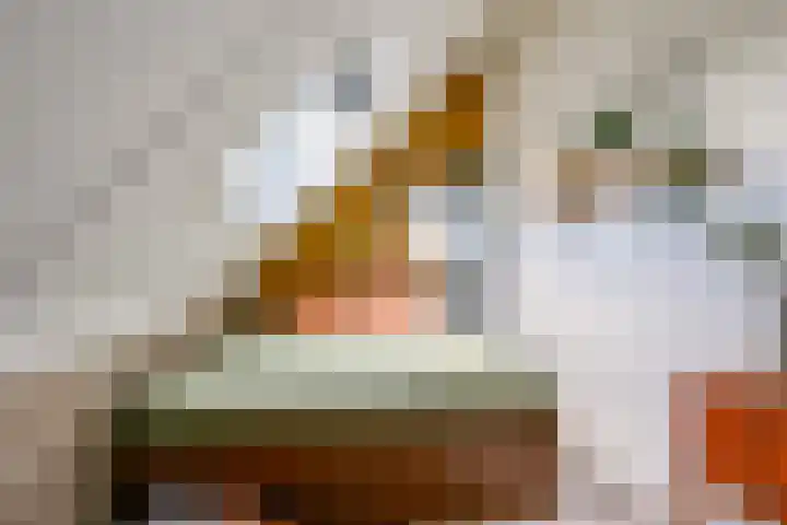 Watermunt 14 Abbekerk thumbnail 27