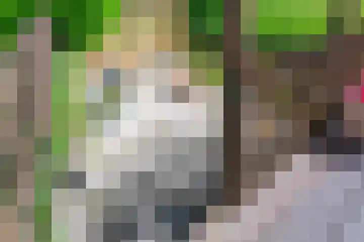 Watermunt 14 Abbekerk thumbnail 5