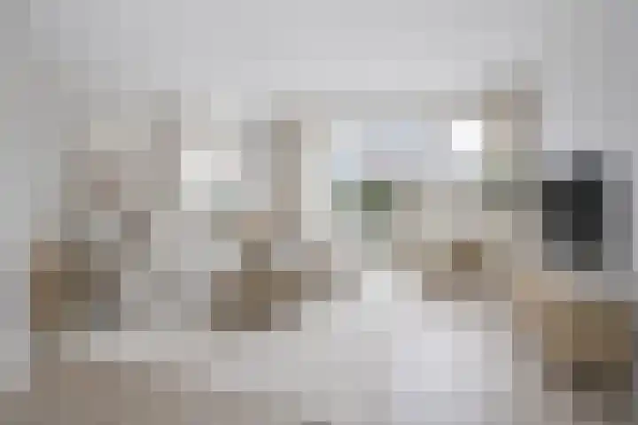Watermunt 15 Aalst thumbnail 12
