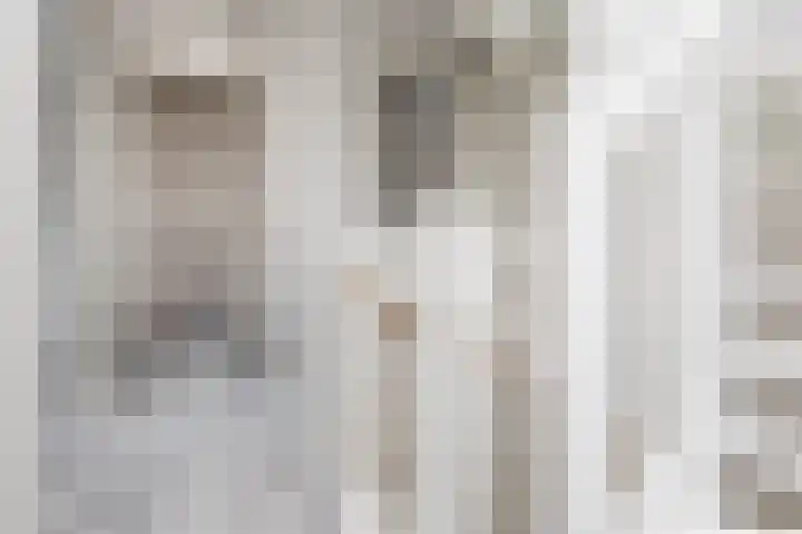 Watermunt 15 Aalst thumbnail 14