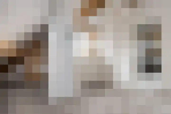 Watermunt 15 Aalst thumbnail 24