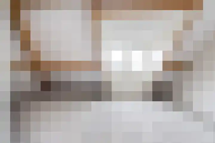 Watermunt 15 Aalst thumbnail 26