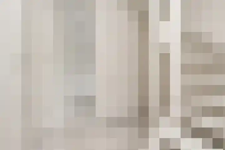 Watermunt 15 Aalst thumbnail 7