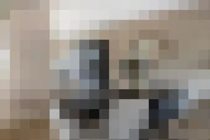 Watermunt 31 Streefkerk thumbnail 10