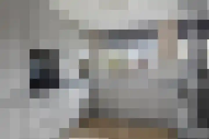 Watermunt 31 Streefkerk thumbnail 12
