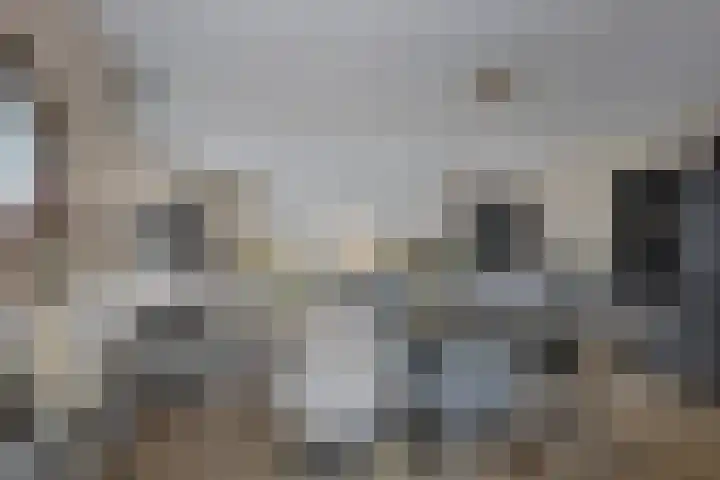 Watermunt 31 Streefkerk thumbnail 14