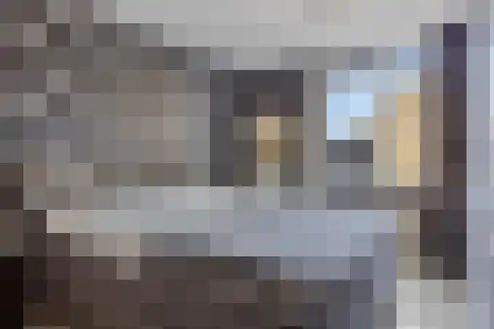Watermunt 31 Streefkerk thumbnail 16