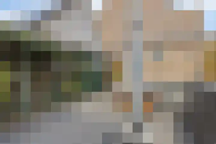 Watermunt 31 Streefkerk thumbnail 30