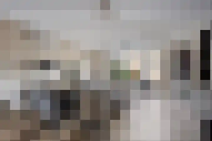 Watermunt 31 Streefkerk thumbnail 6