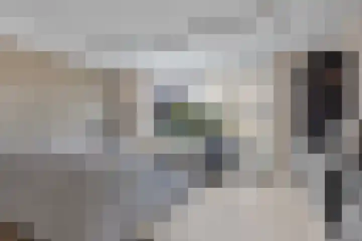 Watermunt 31 Streefkerk thumbnail 7