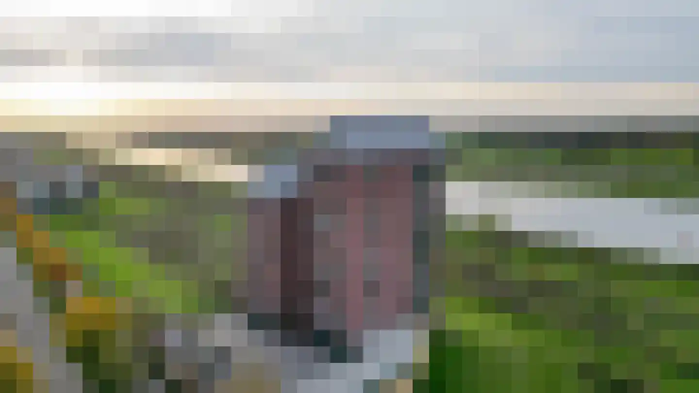 Watermunt 70 Tegelen thumbnail 36