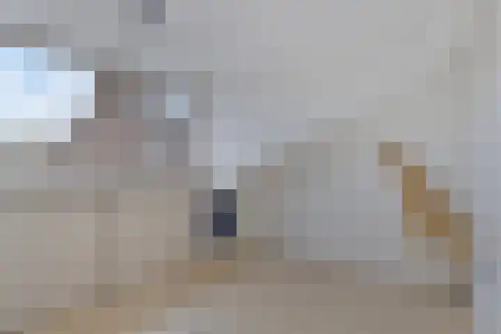 Waterpoort 34 Geldrop thumbnail 37