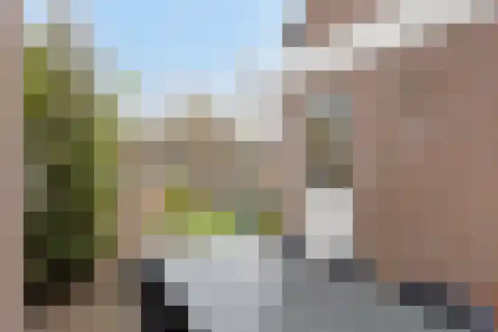 Waterpoort 34 Geldrop thumbnail 41