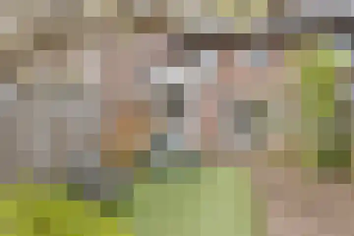 Waterpoort 34 Geldrop thumbnail 44
