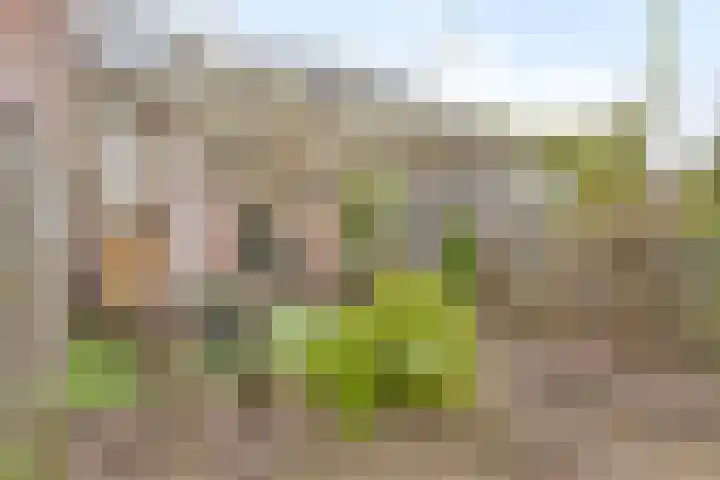 Waterpoort 34 Geldrop thumbnail 45
