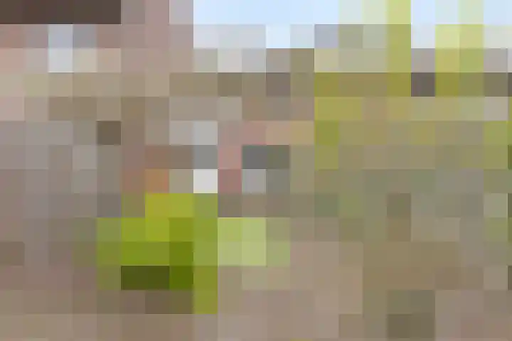 Waterpoort 34 Geldrop thumbnail 46