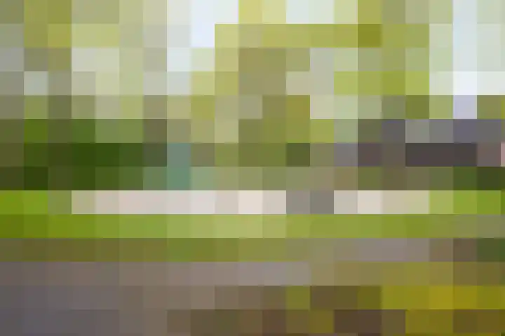 Waterpoort 34 Geldrop thumbnail 6