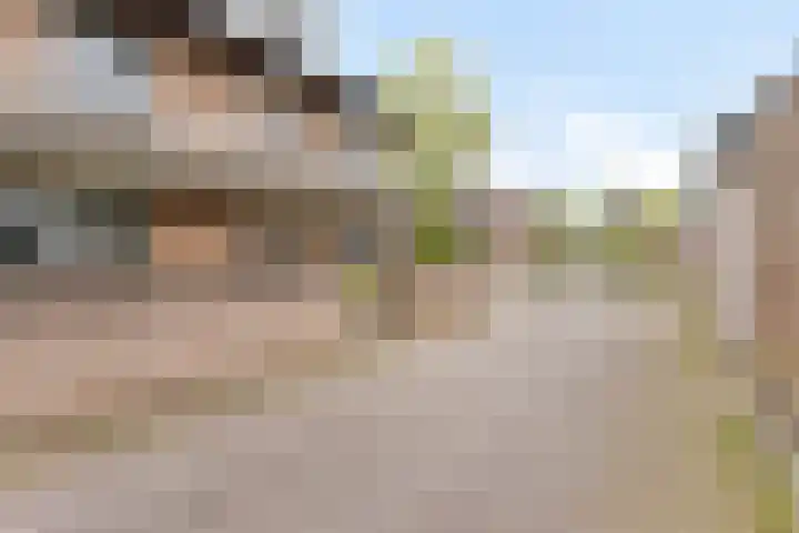 Waterpoort 34 Geldrop thumbnail 9
