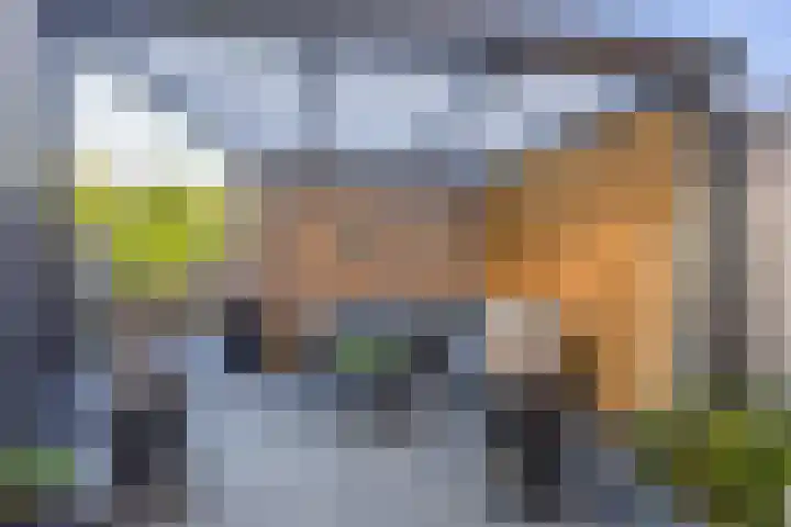 Waterput 9 Cuijk thumbnail 27