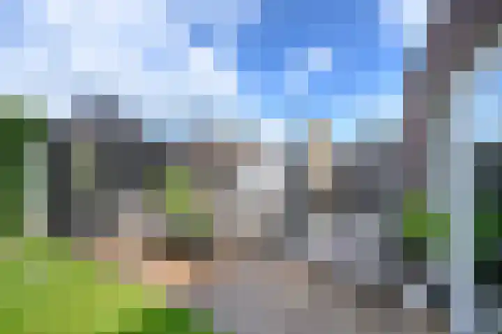 Waterrad 15 Eerbeek thumbnail 21